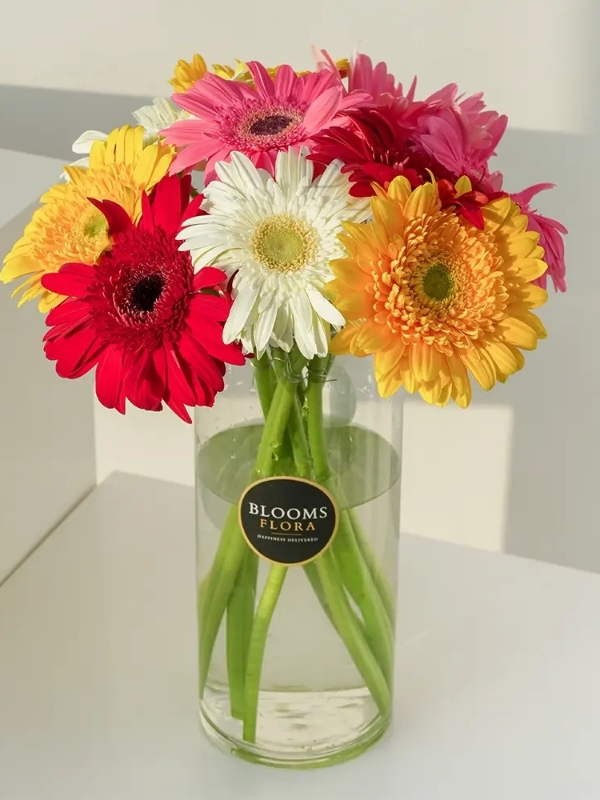  Alanya Çiçek Gönder - Vazoda Rengarenk Jerberalar
